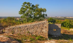 Frantoio ipogeo viositabile da parte dei clienti delle nostre case vacanze in salento