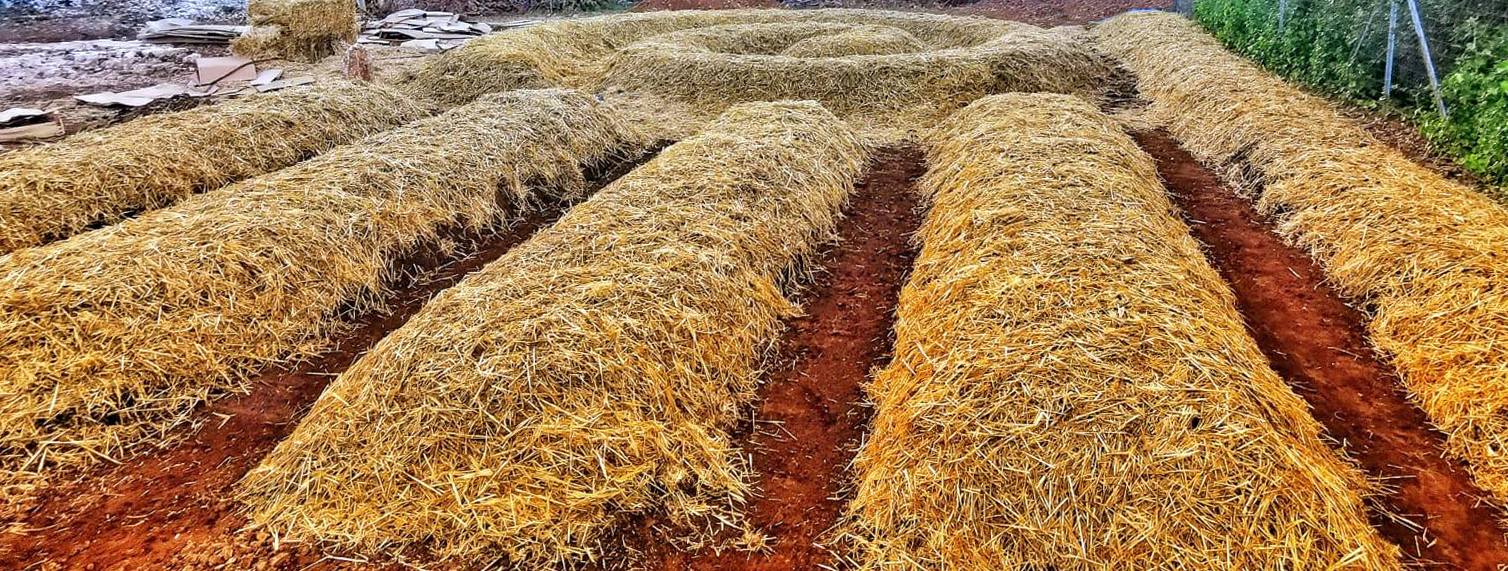 Vacanze in Salento - Case al Frantoio vicino al mare Alessano frazione Montesardo Lecce in Puglia Italia - green salento orto sinergico permacultura